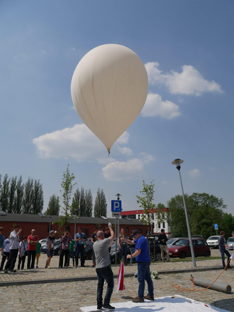 weather balloon HY-100 white (5 pieces)